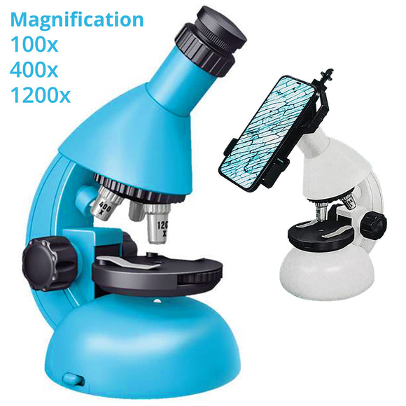 Microscope - Asters Maldives