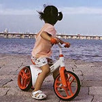 Bicycle (2 in 1) - Asters Maldives