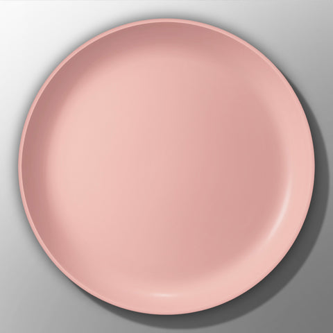 Dinner Plate (Ø10.5") - Asters Maldives