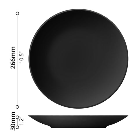 Dinner Plate (Ø10.5") - Asters Maldives