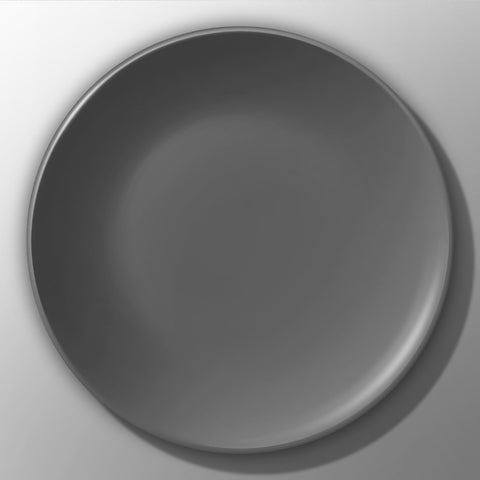 Dinner Plate (Ø10.5") - Asters Maldives