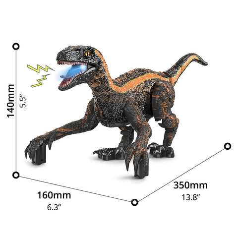 RC Dinosaur - Asters Maldives