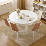 Dining Chair - Asters Maldives