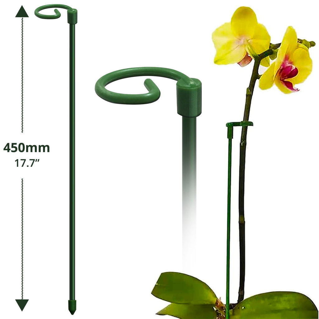 Garden Stake (45cm) - Asters Maldives