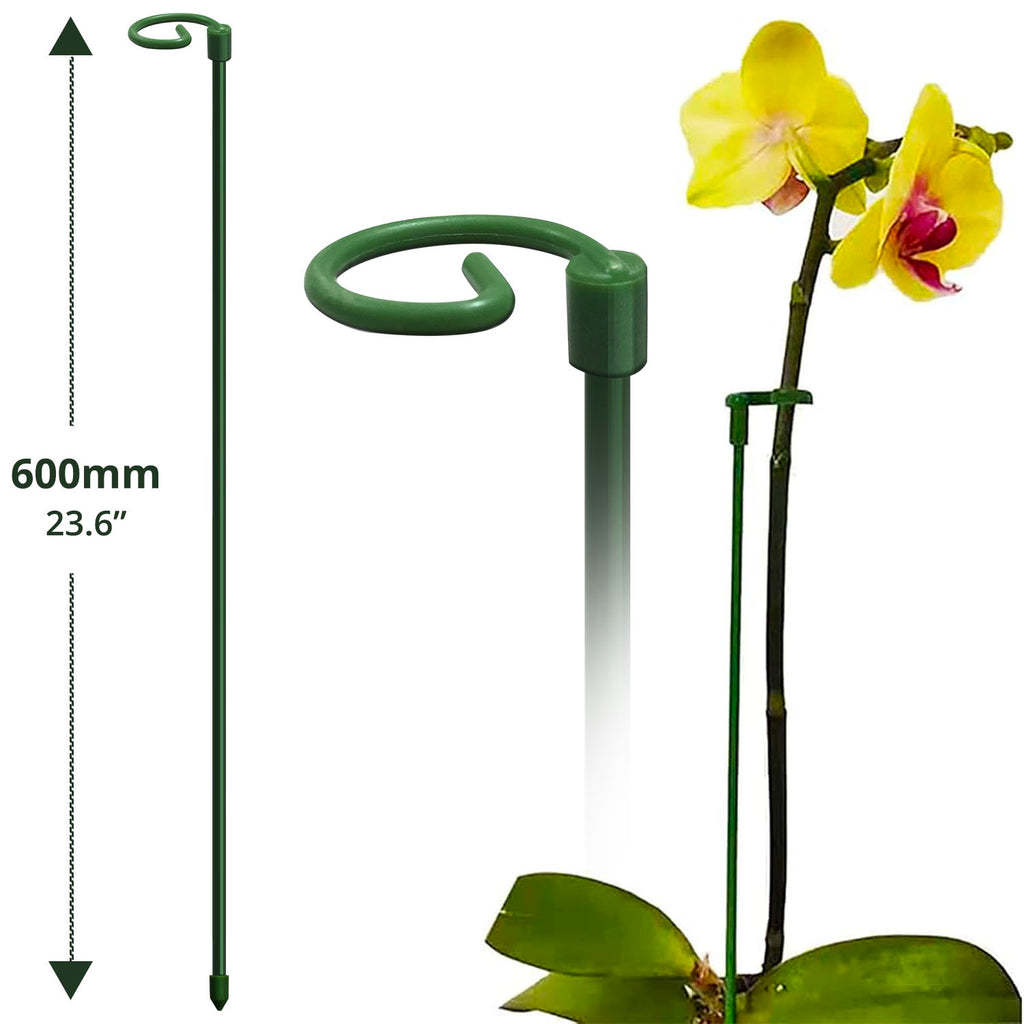 Garden Stake (60cm) - Asters Maldives