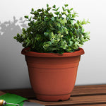 Plant Pot (Ø18.5 x 14cm) - Asters Maldives