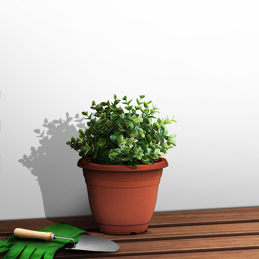 Plant Pot (Ø18.5 x 14cm) - Asters Maldives