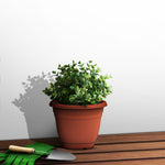 Plant Pot (Ø18.5 x 14cm) - Asters Maldives