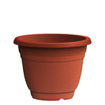 Plant Pot (Ø26 x 19.5cm) - Asters Maldives