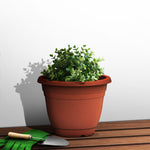 Plant Pot (Ø26 x 19.5cm) - Asters Maldives