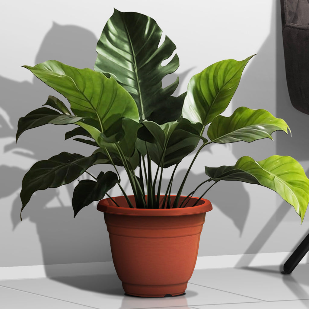 Plant Pot (Ø31 x 23.5cm) - Asters Maldives