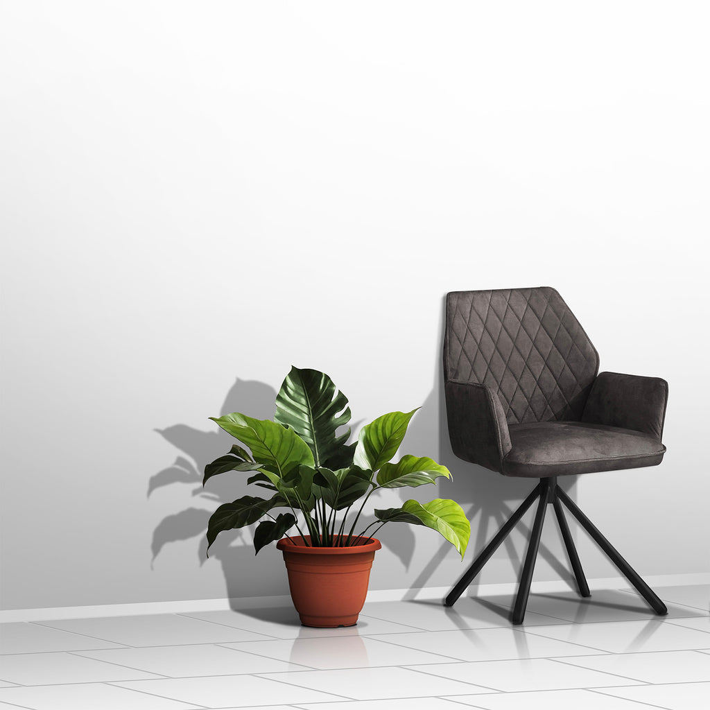 Plant Pot (Ø31 x 23.5cm) - Asters Maldives
