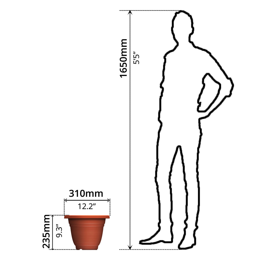 Plant Pot (Ø31 x 23.5cm) - Asters Maldives