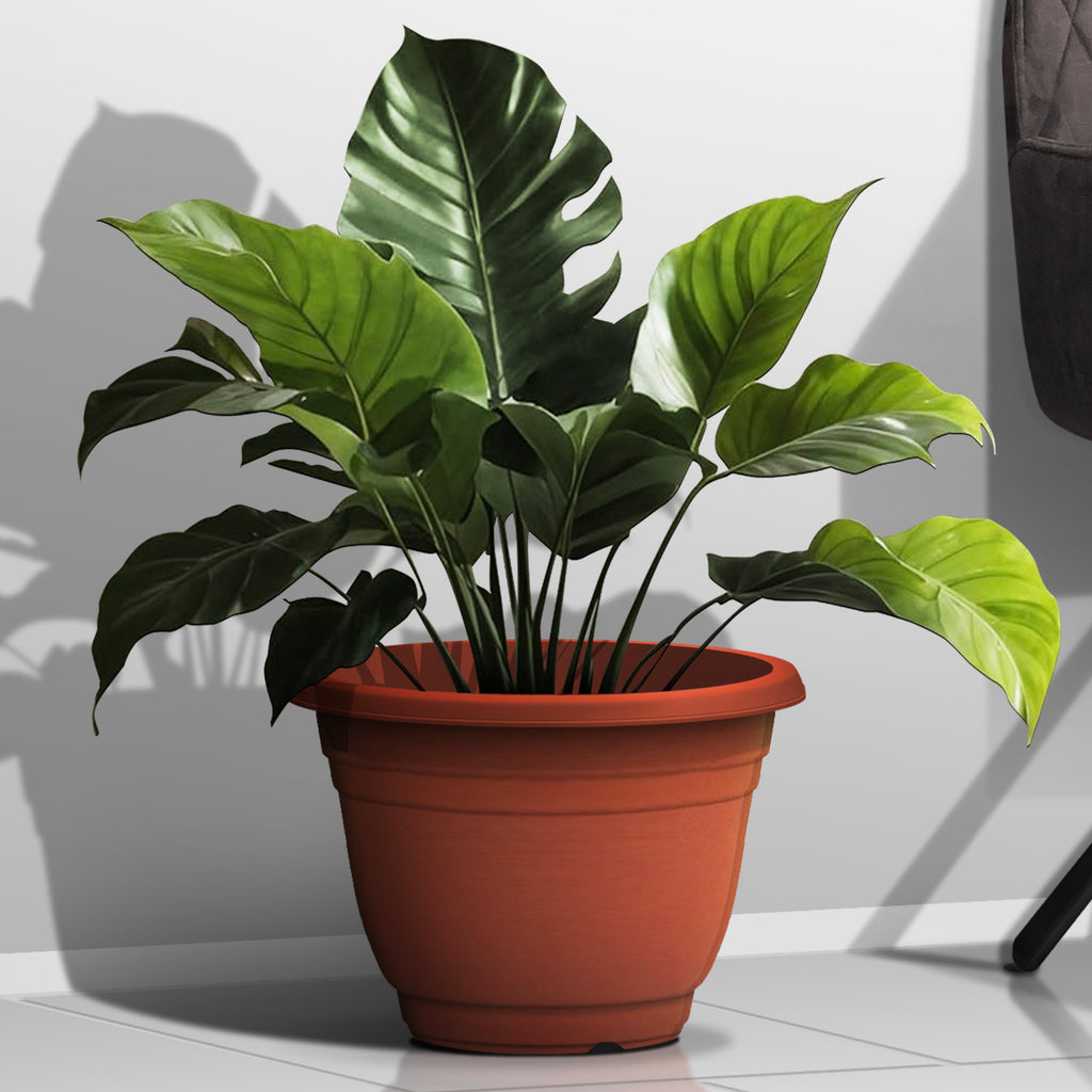 Plant Pot (Ø42 x 28.7cm) - Asters Maldives