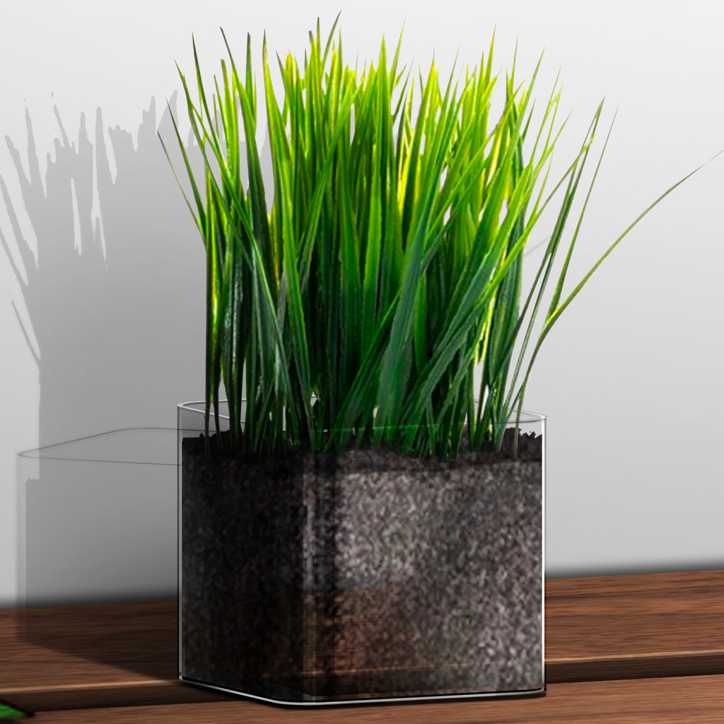 Plant Pot (8 x 8cm) - Asters Maldives