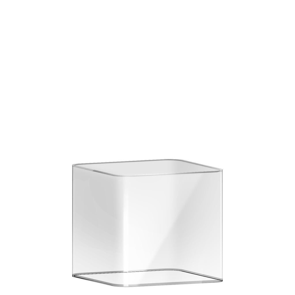 Plant Pot (8 x 8cm) - Asters Maldives