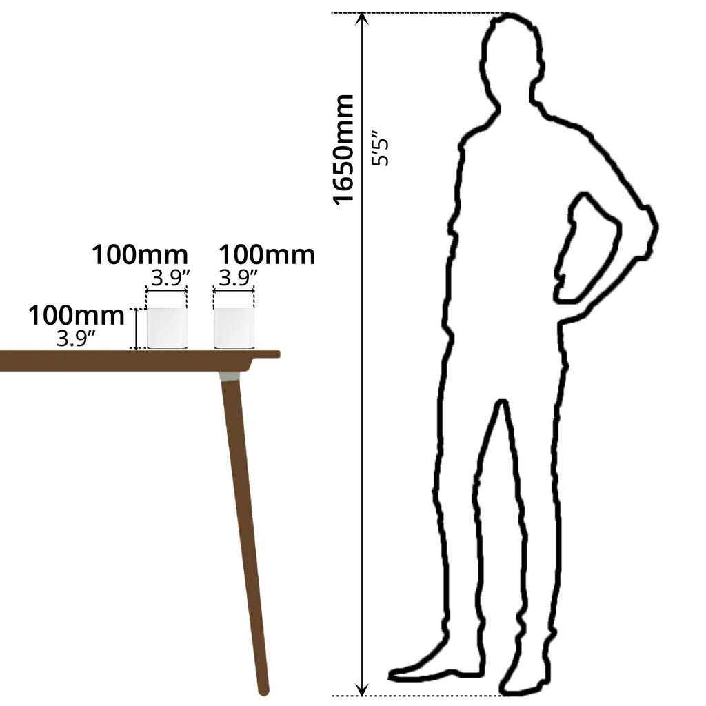 Plant Pot (10 x 10cm) - Asters Maldives