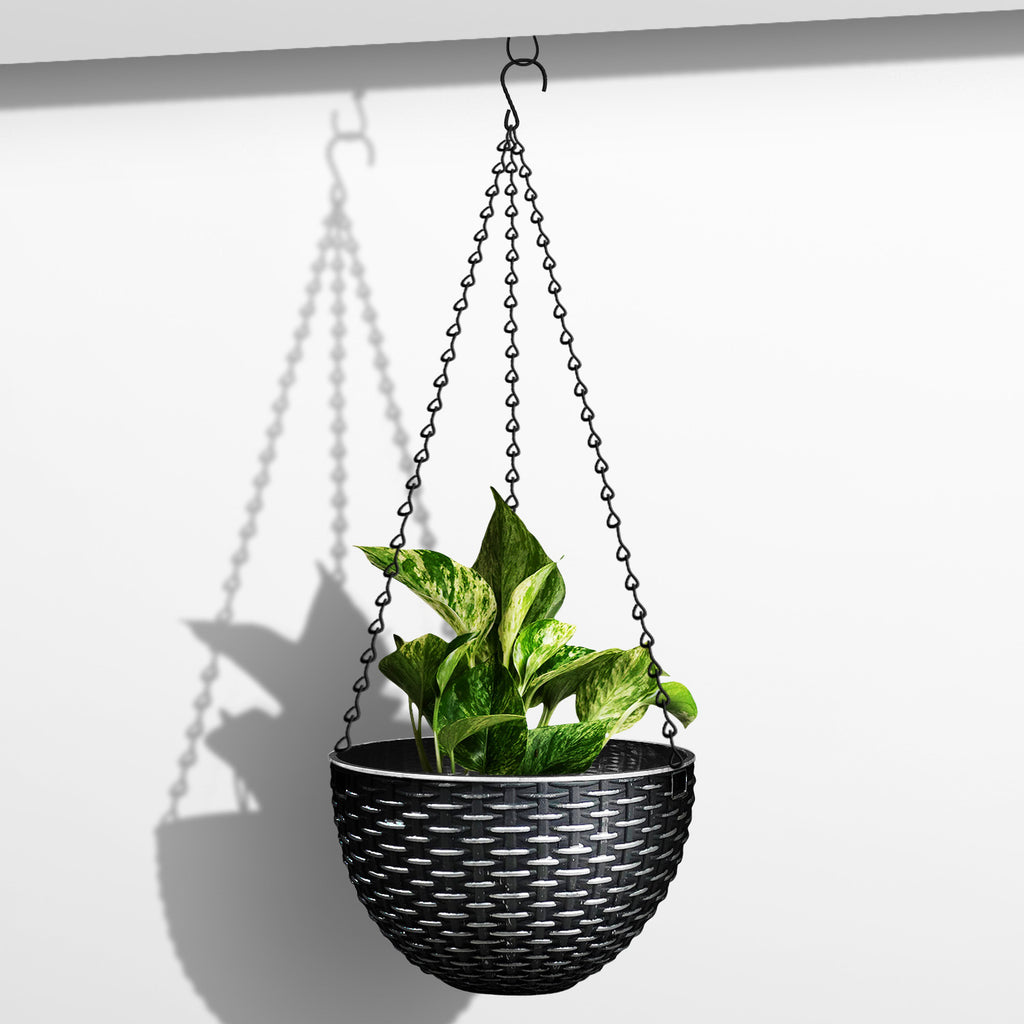 Plant Pot (Ø26 x 16cm) - Asters Maldives