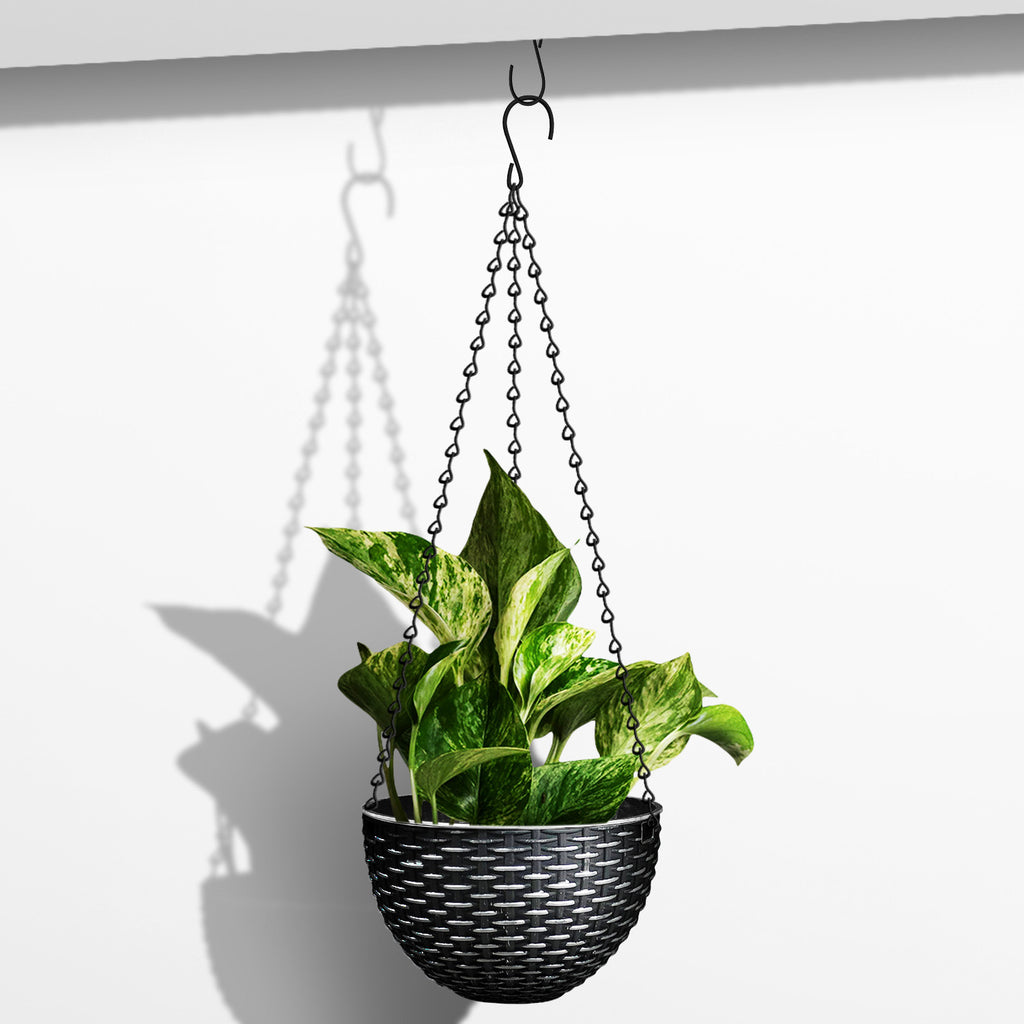 Plant Pot (Ø16 x 11cm) - Asters Maldives