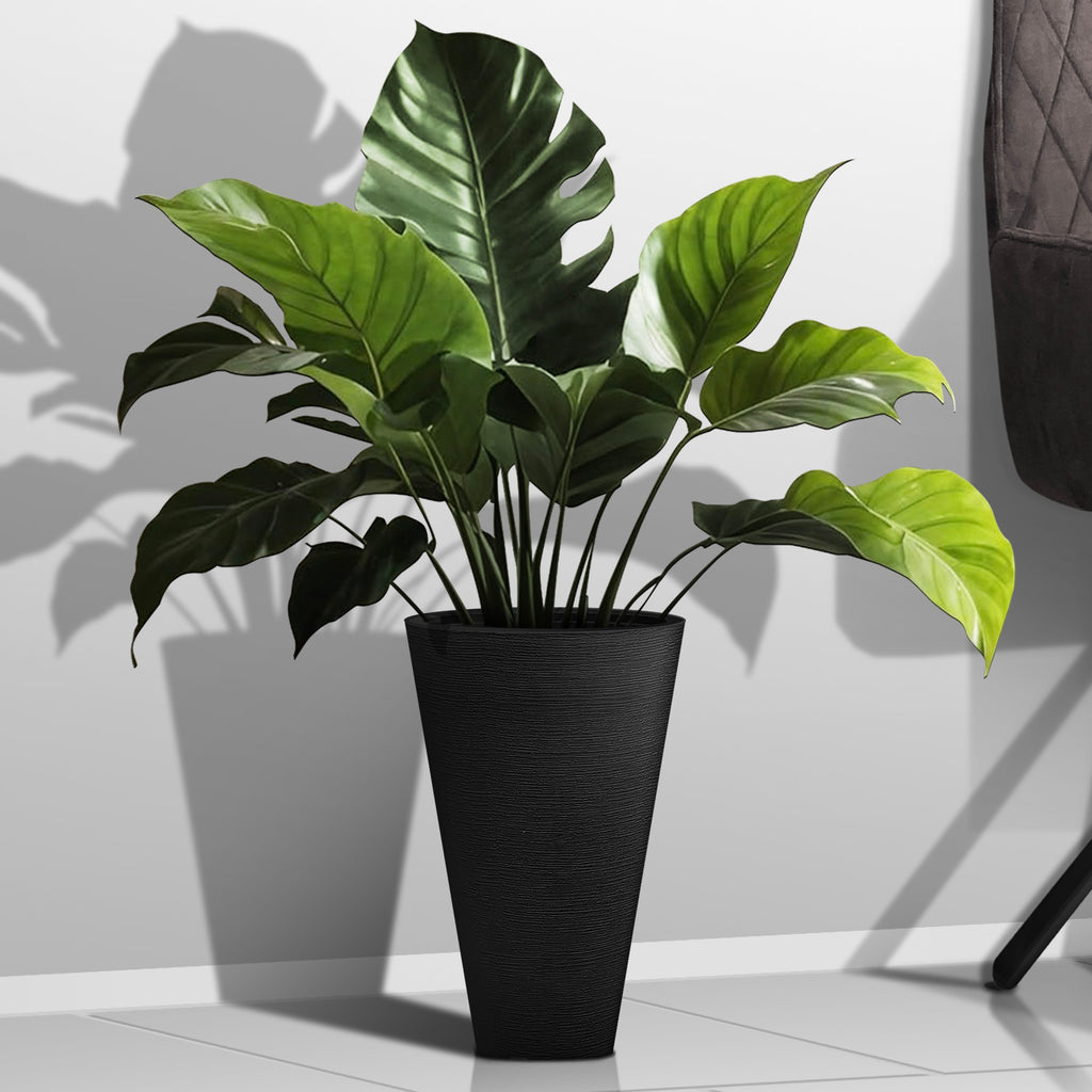 Plant Pot (Ø25 x 37cm) - Asters Maldives