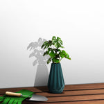 Plant Pot (Ø8.5 x 15cm) - Asters Maldives