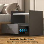 Fingerprint Safe - Asters Maldives