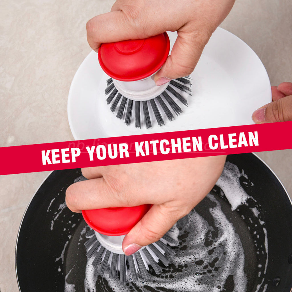 Scourer - Asters Maldives