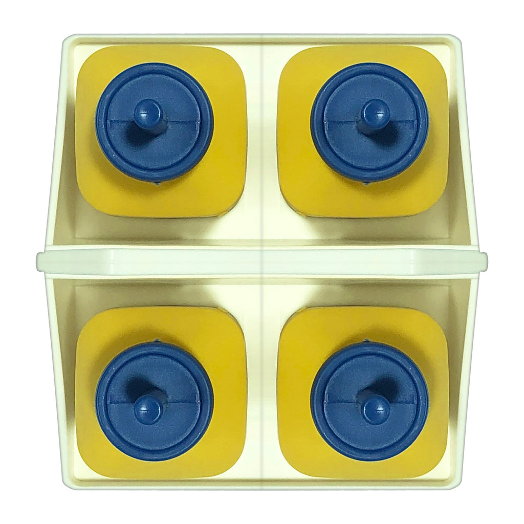 Ice Lolly Mould - Asters Maldives