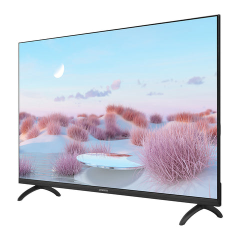 TV (LED) - 43"