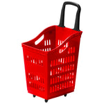 Shopping Basket - Asters Maldives