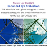 Monitor (24") - Asters Maldives