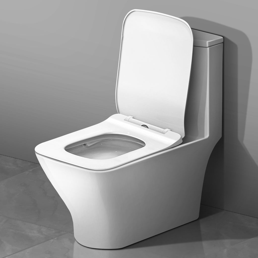 Water Closet (Toilet) - Asters Maldives