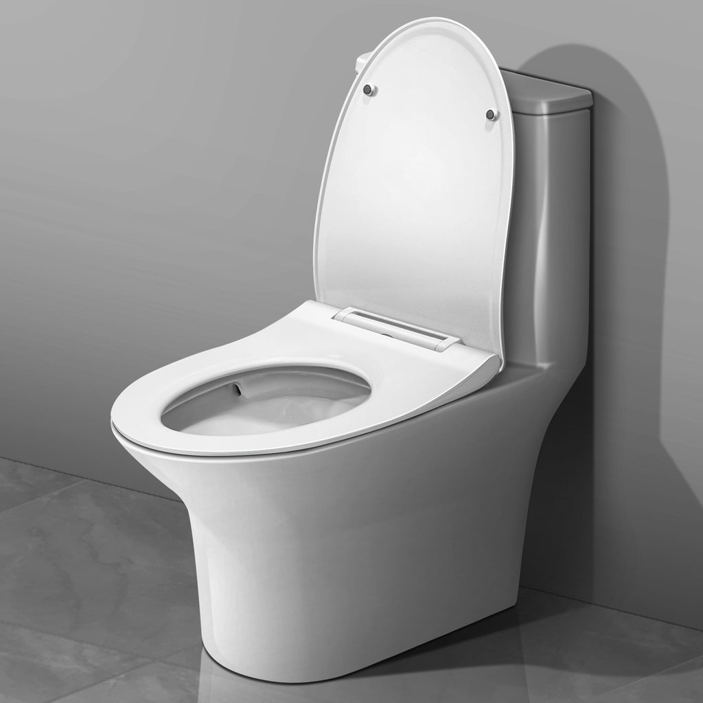 Water Closet (Toilet) - Asters Maldives