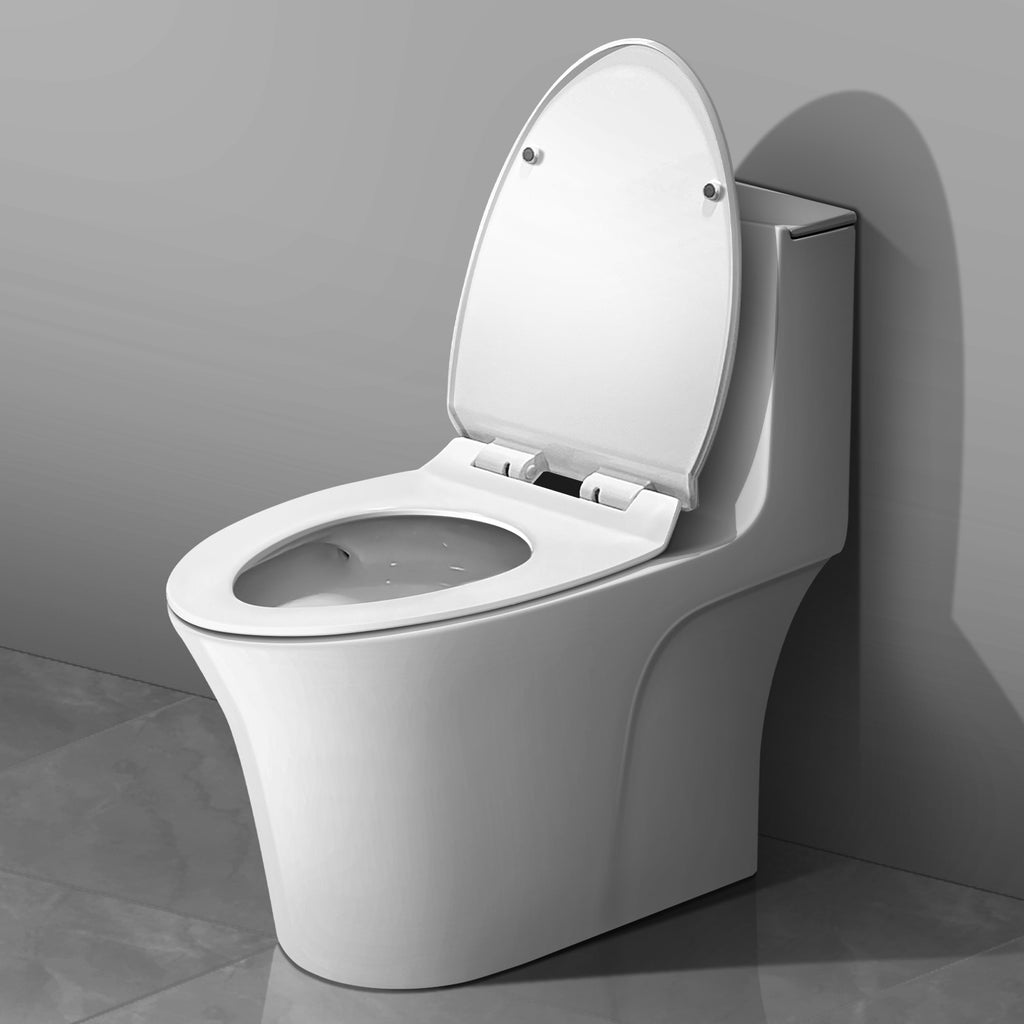 Water Closet (Toilet) - Asters Maldives