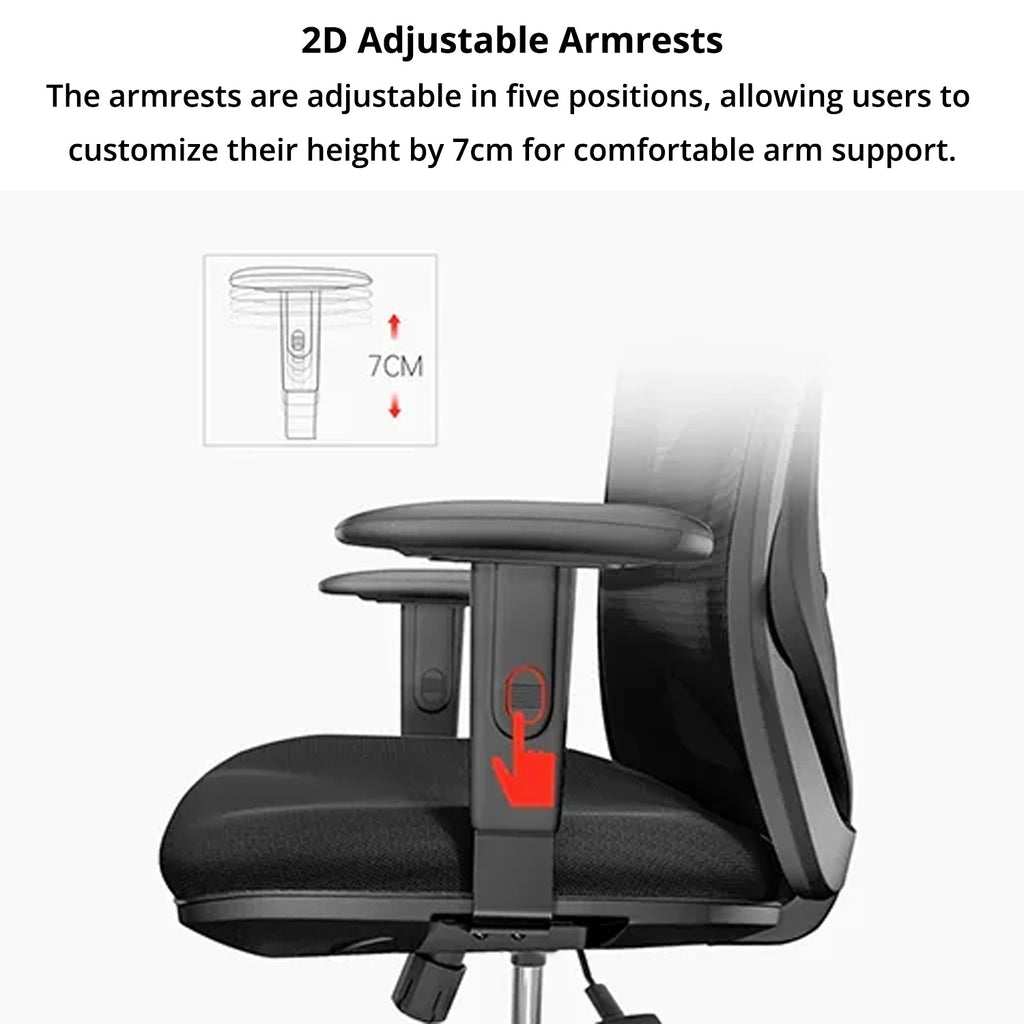 High Back Chair - Asters Maldives