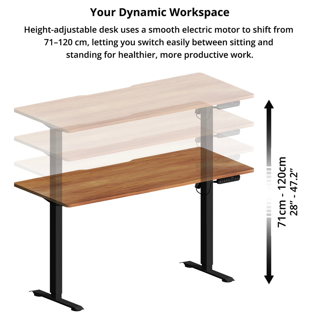 Electric Standing Desk