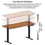 Electric Standing Desk