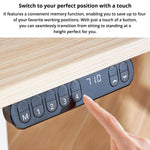 Electric Standing Desk