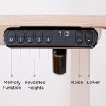 Electric Standing Desk