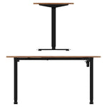 Electric Standing Desk