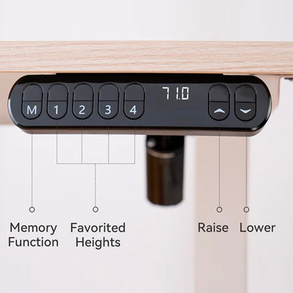 Electric Standing Desk