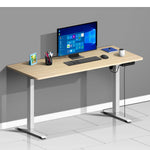 Electric Standing Desk