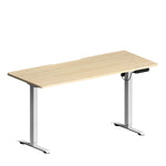 Electric Standing Desk