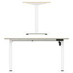 Electric Standing Desk