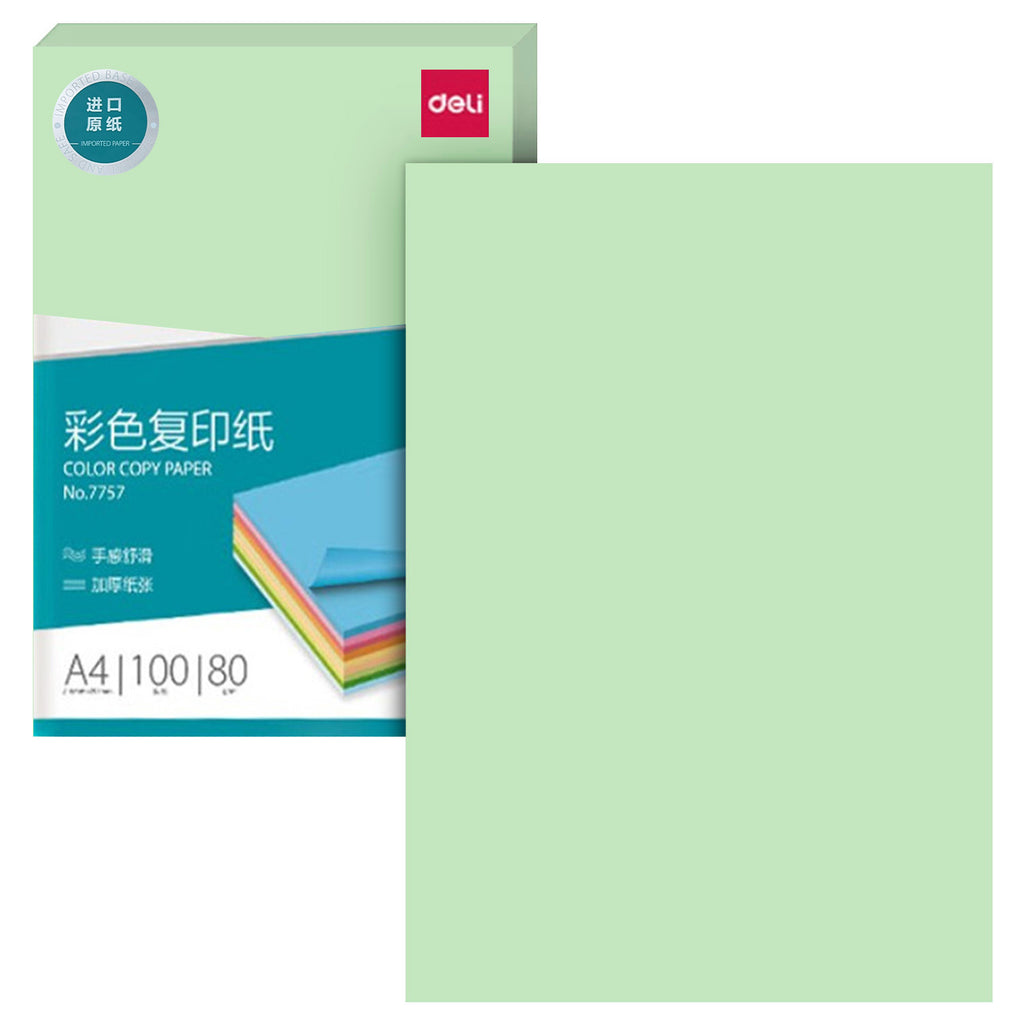 Color Paper, 100 Sheets (A4) - Asters Maldives