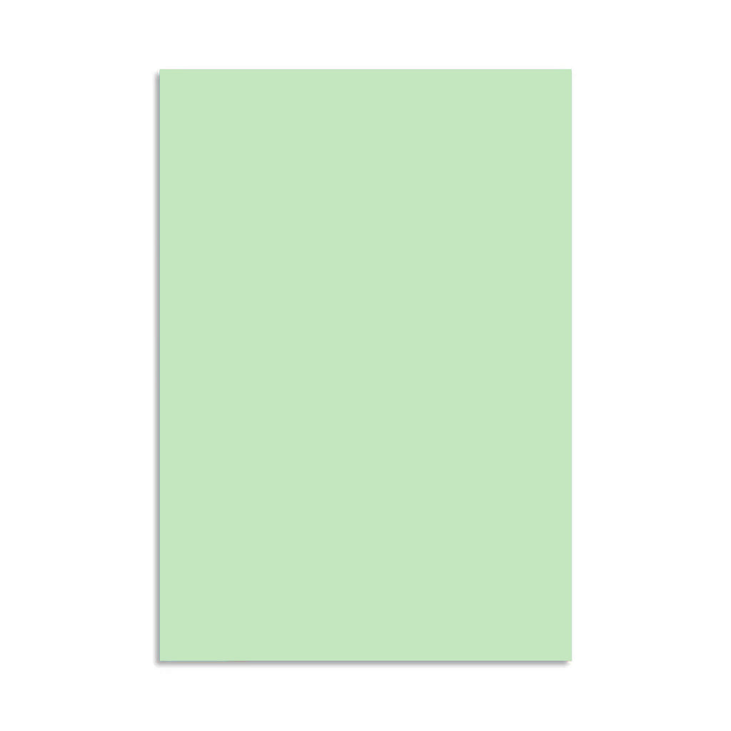 Color Paper, 100 Sheets (A4) - Asters Maldives