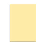 Color Paper, 100 Sheets (A4) - Asters Maldives