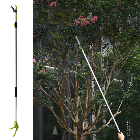 Garden Shear (180 - 300cm) - Asters Maldives