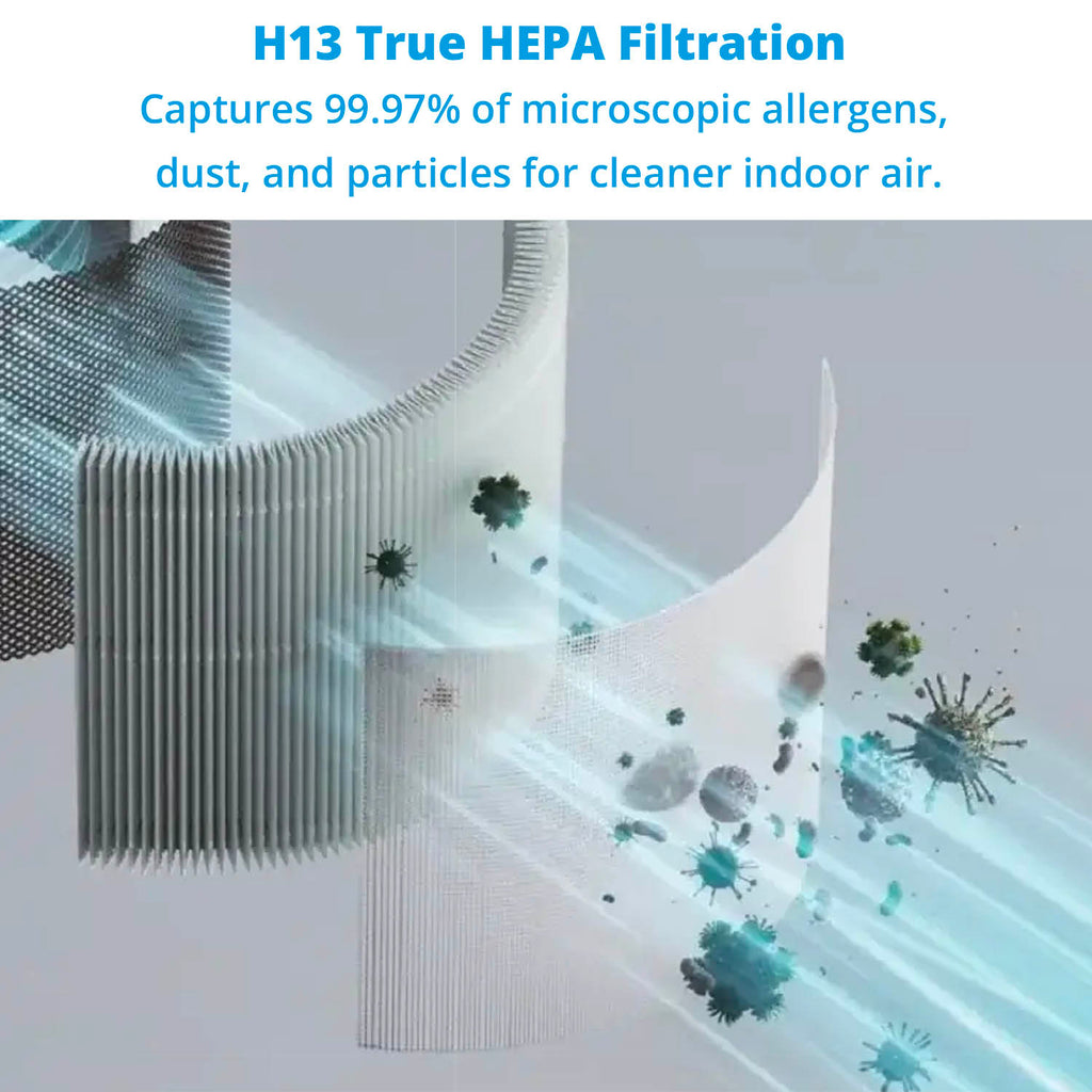 Air Purifier - Asters Maldives