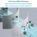 Air Purifier - Asters Maldives